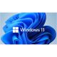 Windows 11 Home SB 64-Bit (Sprache wählbar)